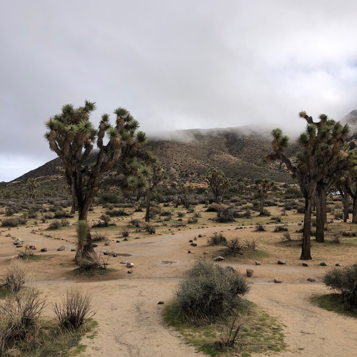 5 Things I’m Doing in 2026 to Save&nbsp;Money