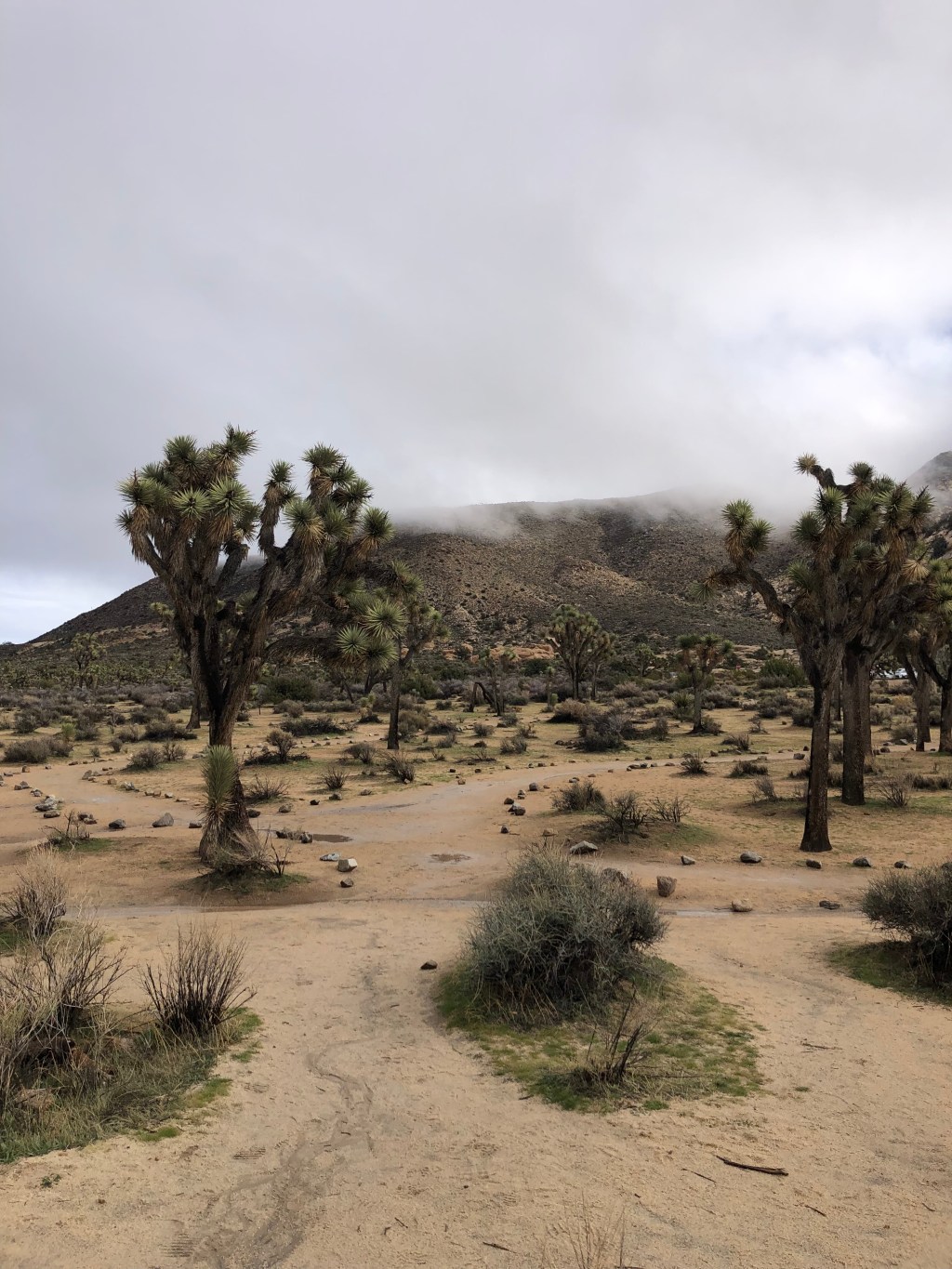 5 Things I’m Doing in 2026 to Save Money